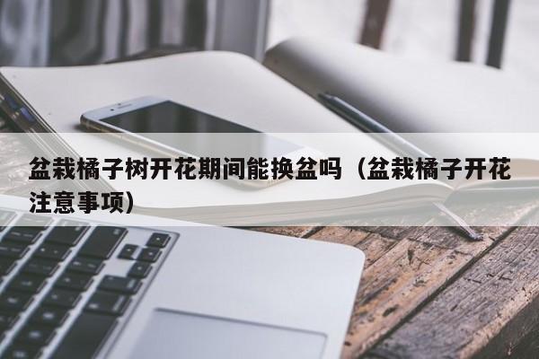 盆栽橘子树开花期间能换盆吗（盆栽橘子开花注意事项）