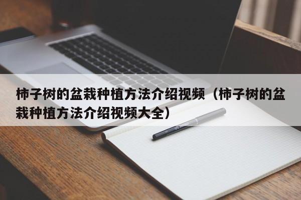 柿子树的盆栽种植方法介绍视频（柿子树的盆栽种植方法介绍视频大全）