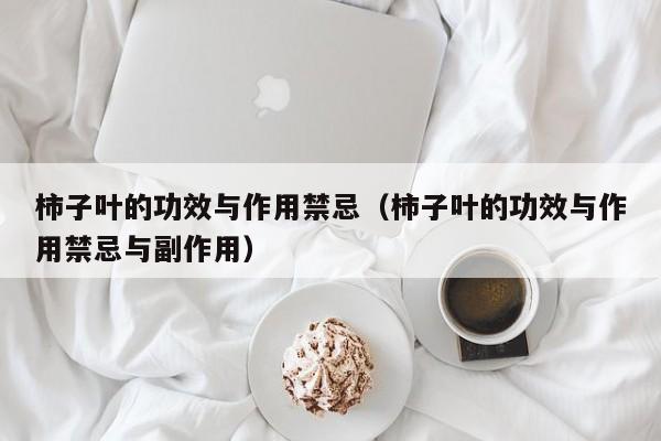 柿子叶的功效与作用禁忌（柿子叶的功效与作用禁忌与副作用）